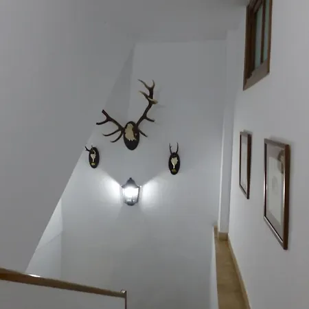 Casa Altemir * Campo (Huesca)