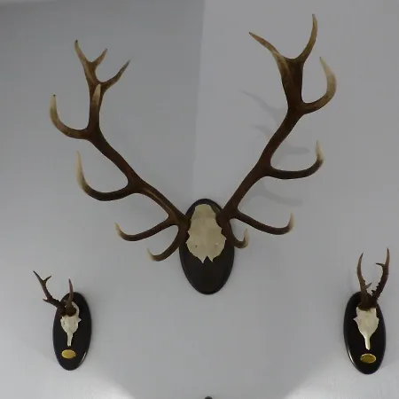 Apartamento Casa Altemir *