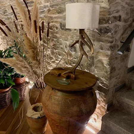 Casa Altemir *