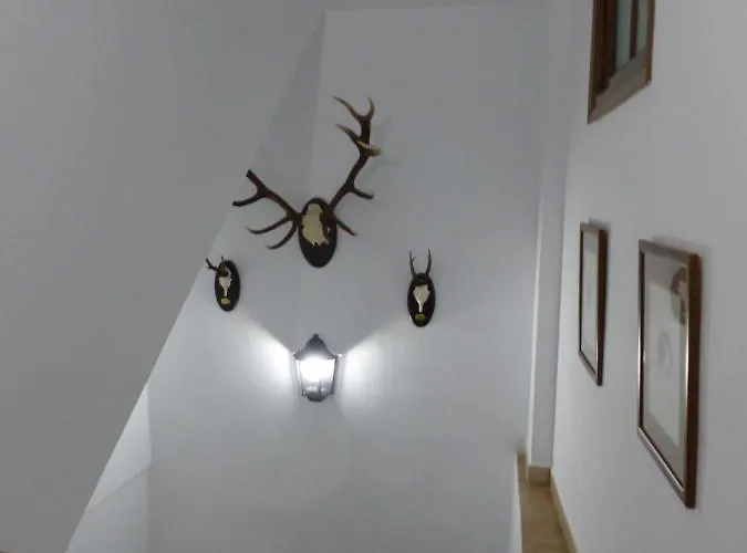 Casa Altemir * Campo (Huesca)