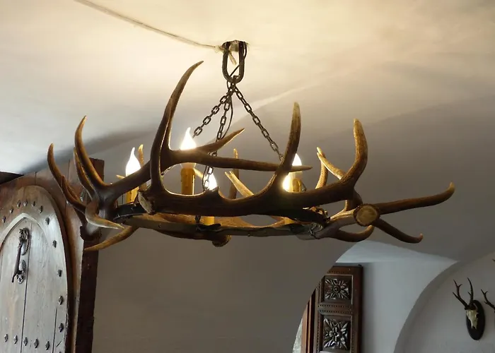 Casa Altemir カンポ