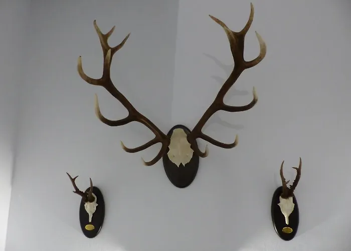 Lägenhet Casa Altemir *