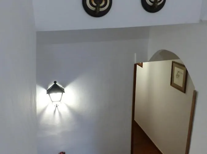 Casa Altemir カンポ